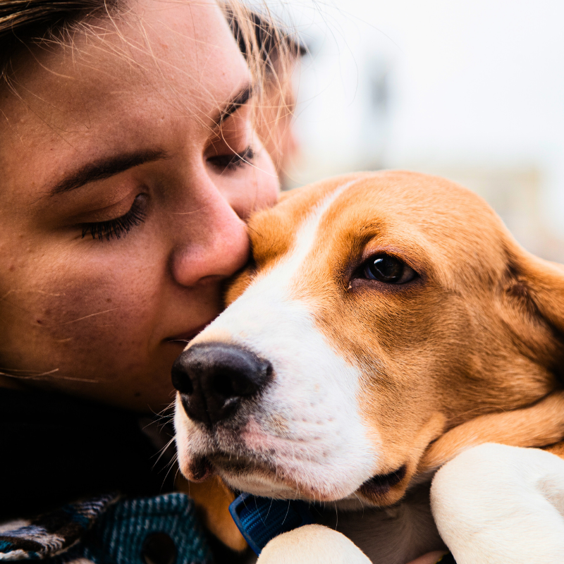 Thoughtful Pet Loss Memorial Gift Ideas