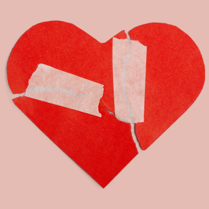 How to Support Someone Who Lost Their Pet Grief blog on PetPerennials.com by AnnHoff.com