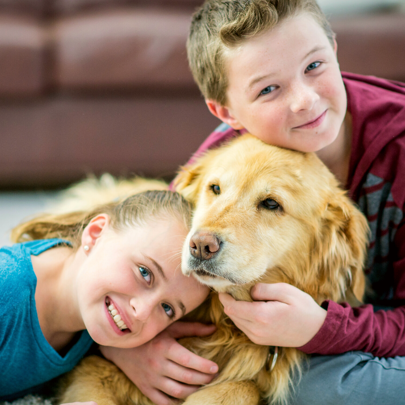 Benefits of Pet Ownership to Children PetPerennials.com