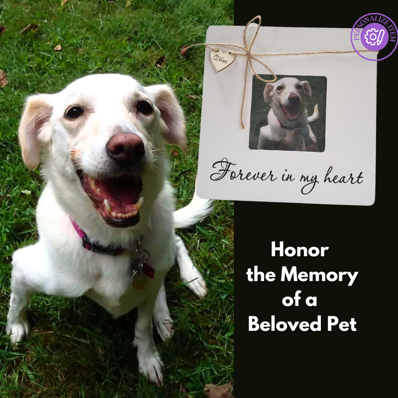 Pet Memorial Day Remembrances PetPerennials.com