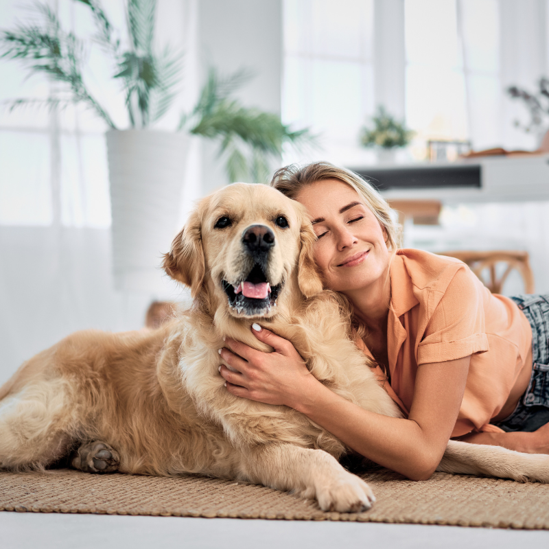 Pet Loss Support In-Home Euthanasia Sympathy Gifts