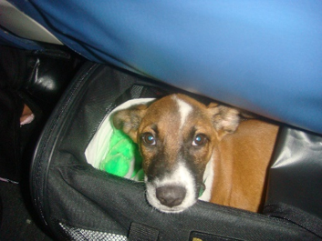 The story of Taylor Bay