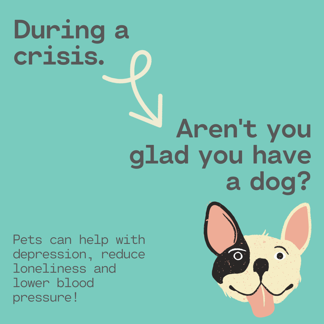 A Dad and His Dog: Canine Critters and Corona