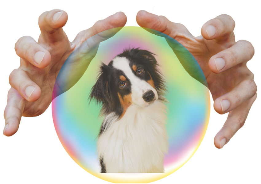 A Dad and His Dog: Predictions fir 2022