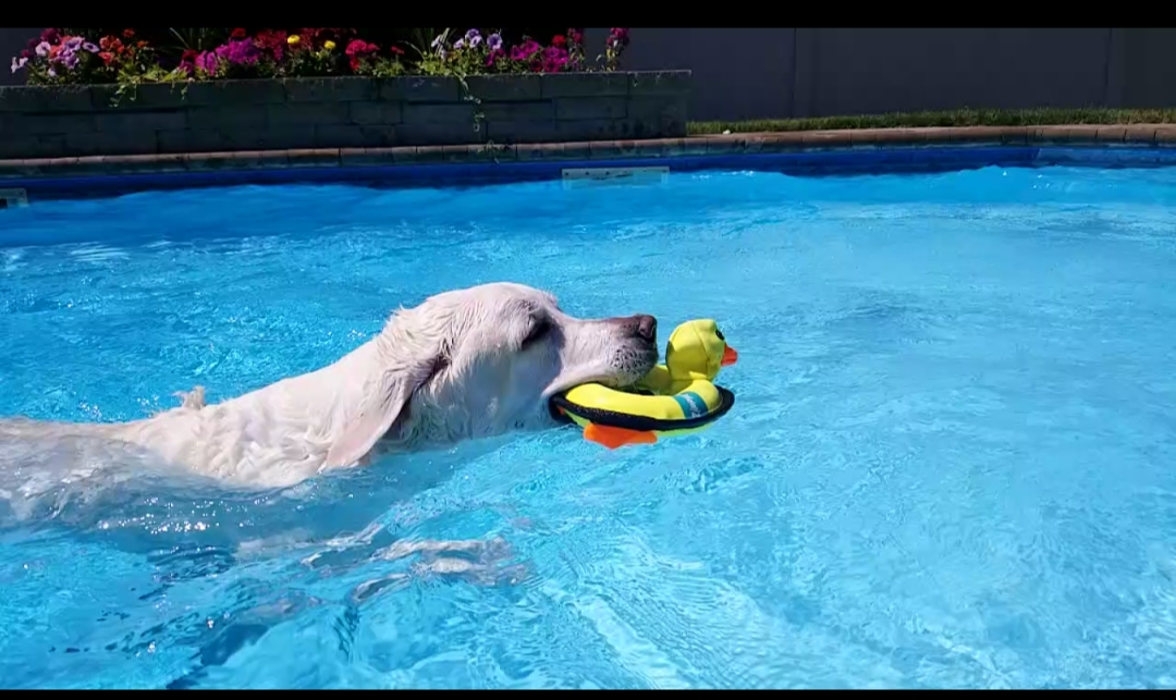 Dexter Ward Doing His Most Favorite Thing - Swimming