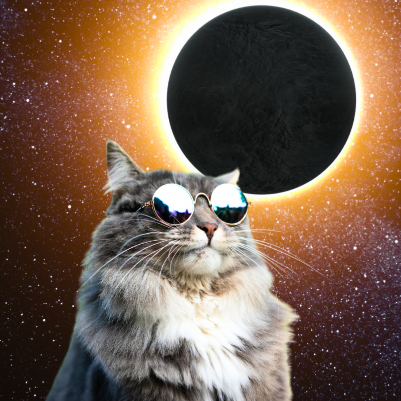 Animal Behavior and the Eclipse