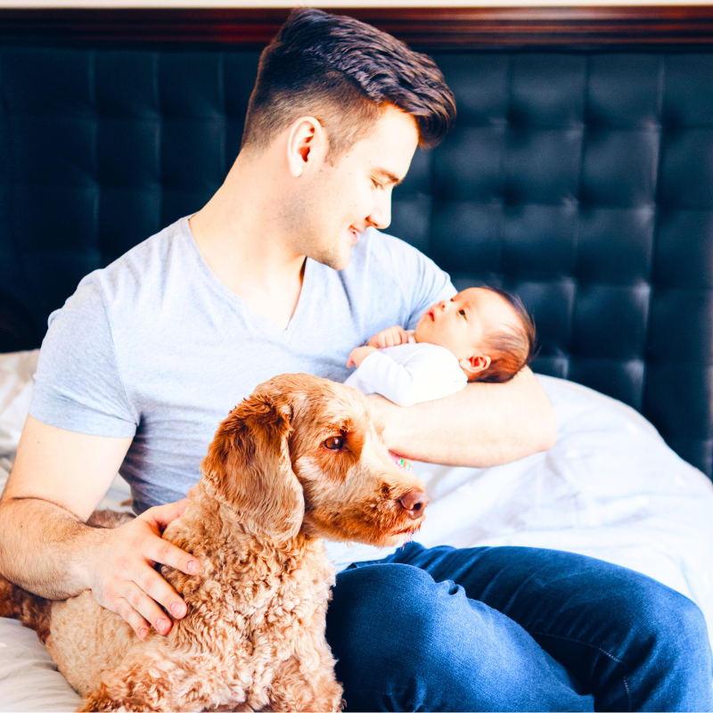 Father's Day Pet Dads and Human Dads Celebrated by PetPerennials.com