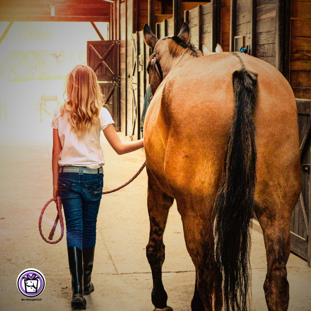 The Horse Rider Bond and Grief of Loss