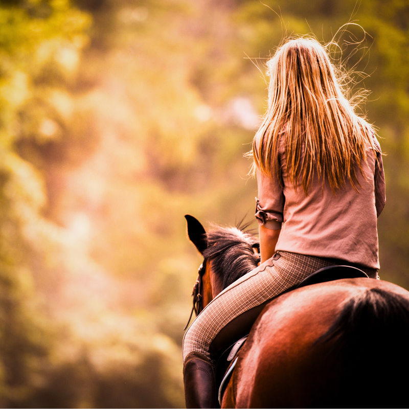 Dealing with Pet Loss Grief Ann Hoff Pet Perennials