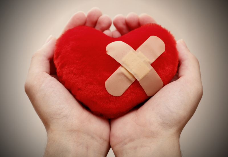 Facing Loss & Dealing with Grief Ann Hoff PetPerennials.com