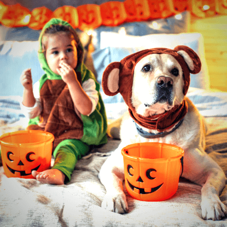 Pet Safety this Howl-oween
