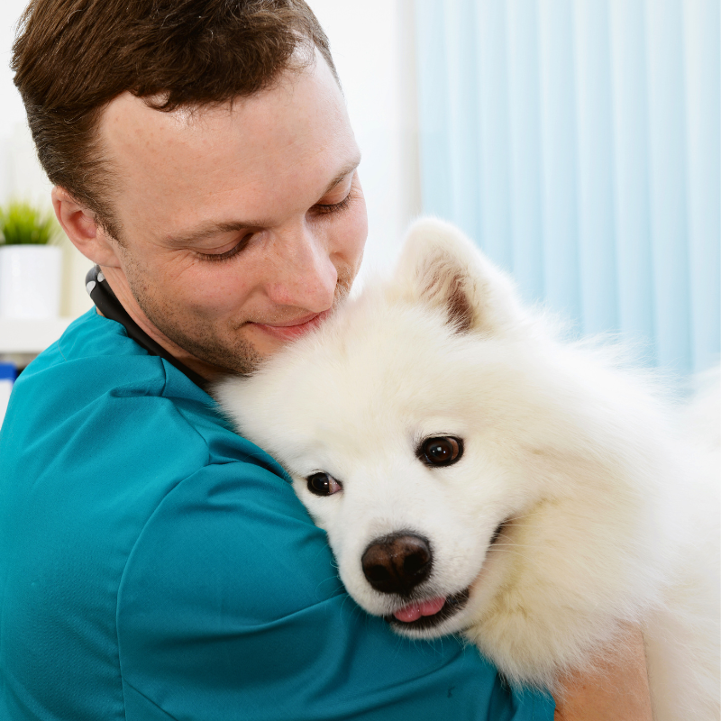 Veterinarian Appreciation for Caring for Us and Our Pets