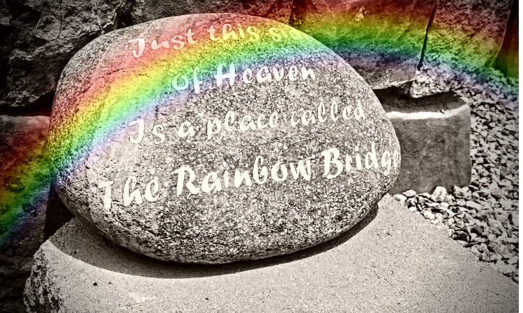 Ann Hoff & PetPerennials.com Discuss Memorials for Pets