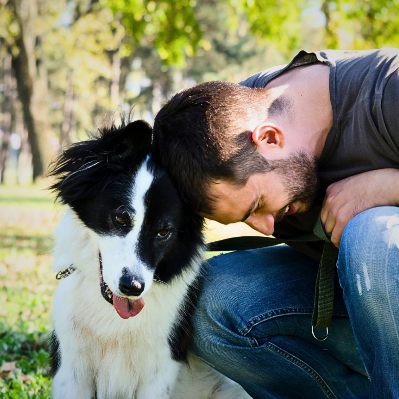 World Pet Memorial Day Remembrance Pet Loss Gifts