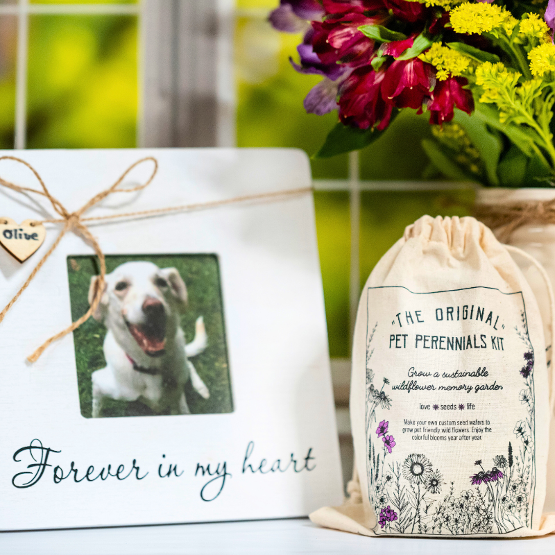 Pet Sympathy Gifts Memorial Remembrances Pet Loss Garden Wildflower Kit and Pet Loss Frame