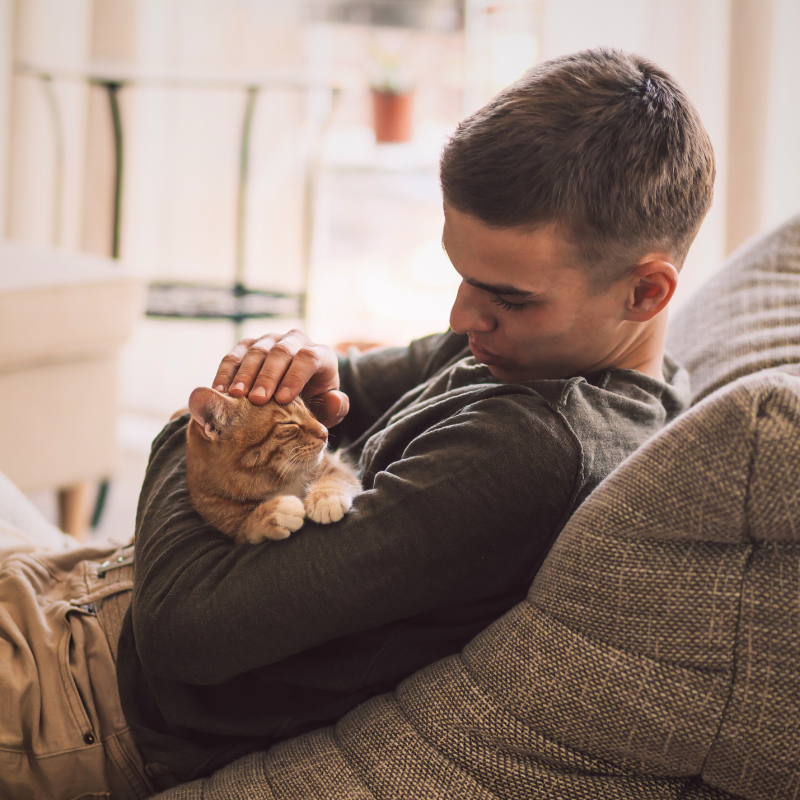 Pet Loss Grief Support PetPerennials.com Coping with Pet Loss