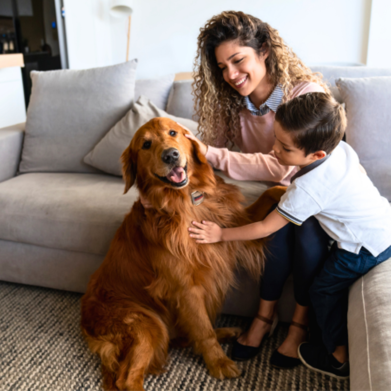 Mother's Day for Pet Moms PetPerennials.com Thoughtful Gifts for Pet Lovers