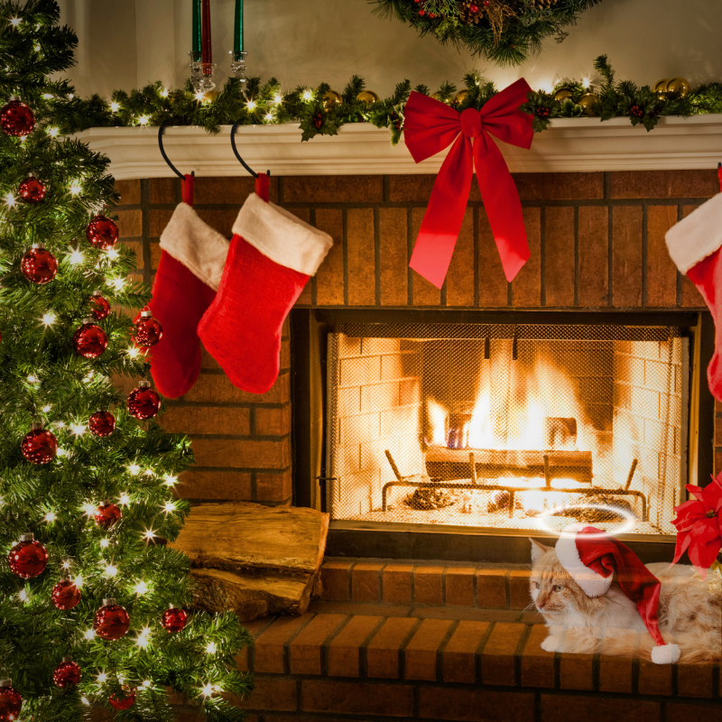 Navigating Grief During the Holidays PetPerennials.com sympathy gifts pet loss