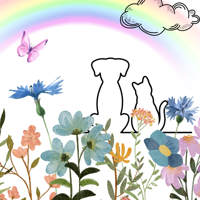 PetPerennials.com Thoughtful Gifts for Pet Loss Memorial Garden Craft Sign Seed Bombs