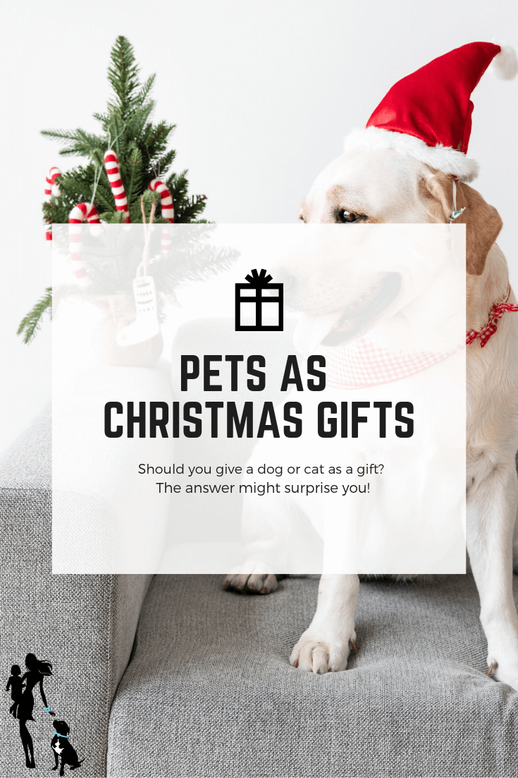 Christmas Gift For Dog Trainer Pets For Christmas: Should You Gift