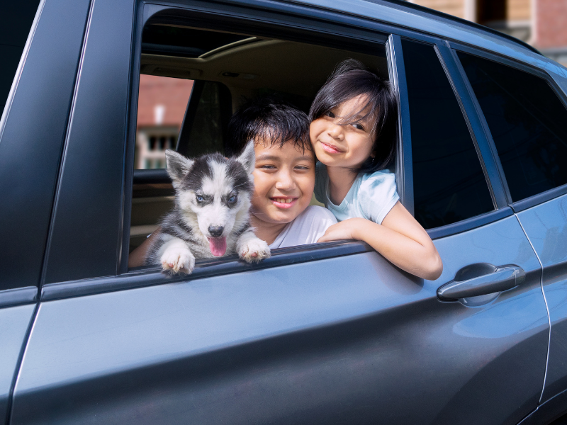 PetPerennials.com Tips for traveling with family