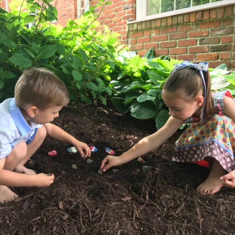 Pet Perennials Garden Craft Kit Seed Wafers Pet Memorial Garden Sympathy Gift