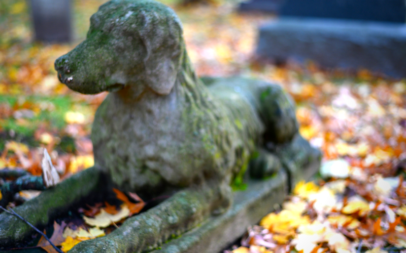 Pet Cemetery