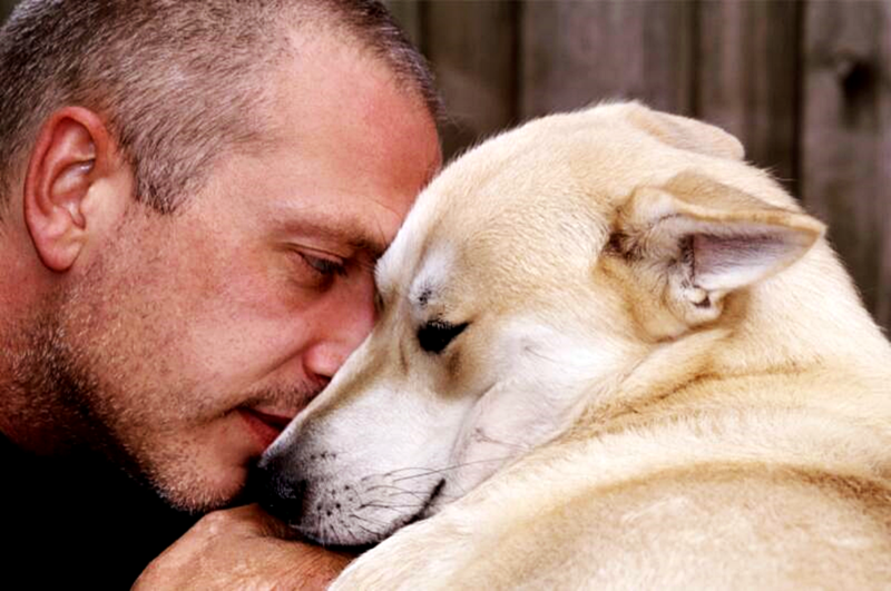 Pet loss breaks hearts - tips for dealing with the grief