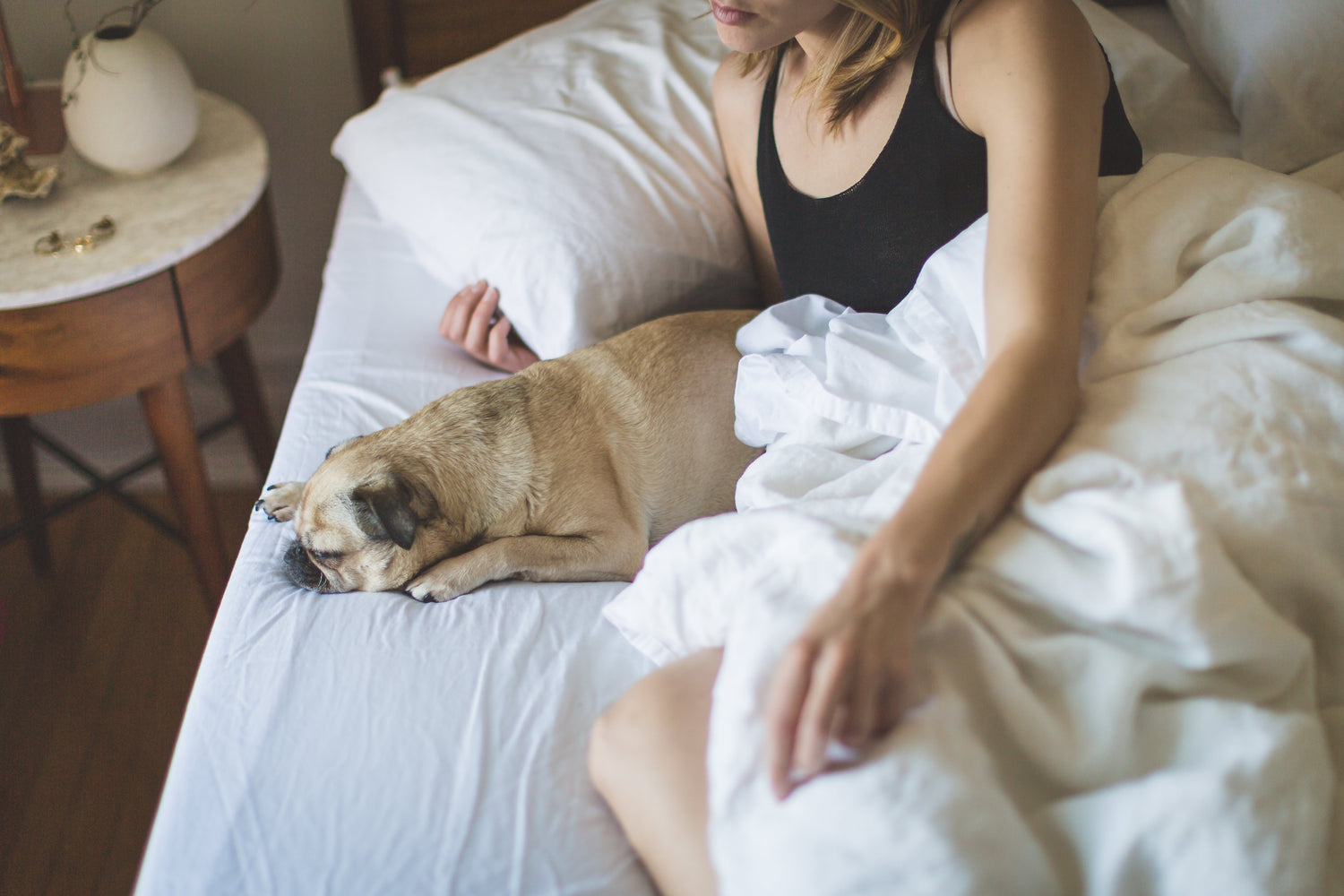 Caring For A Senior Pet: Budget Friendly Tips - Guest Blog by Tyler Evans
