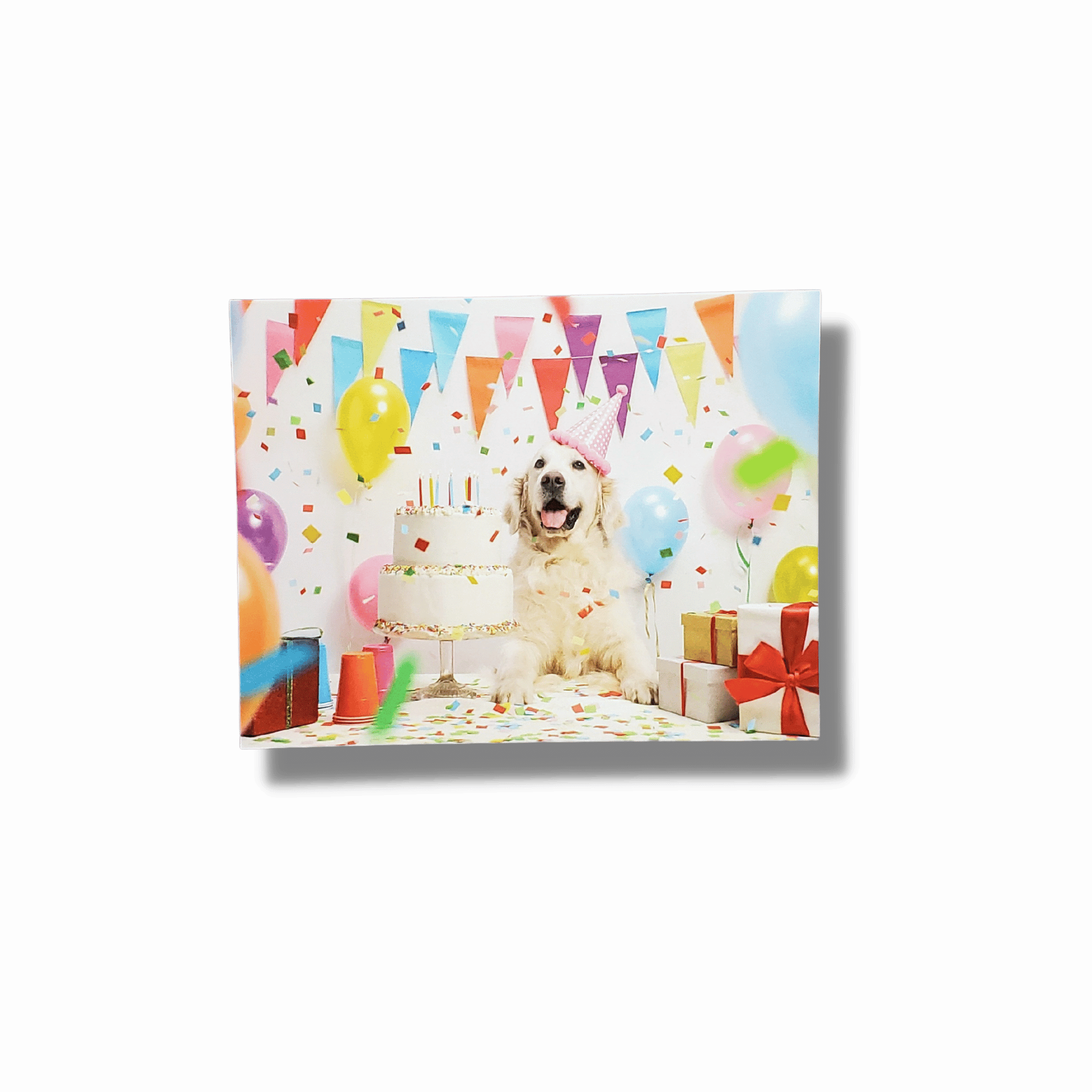 Dog Pawty Birthday Card & Three Birthday Decals Combo