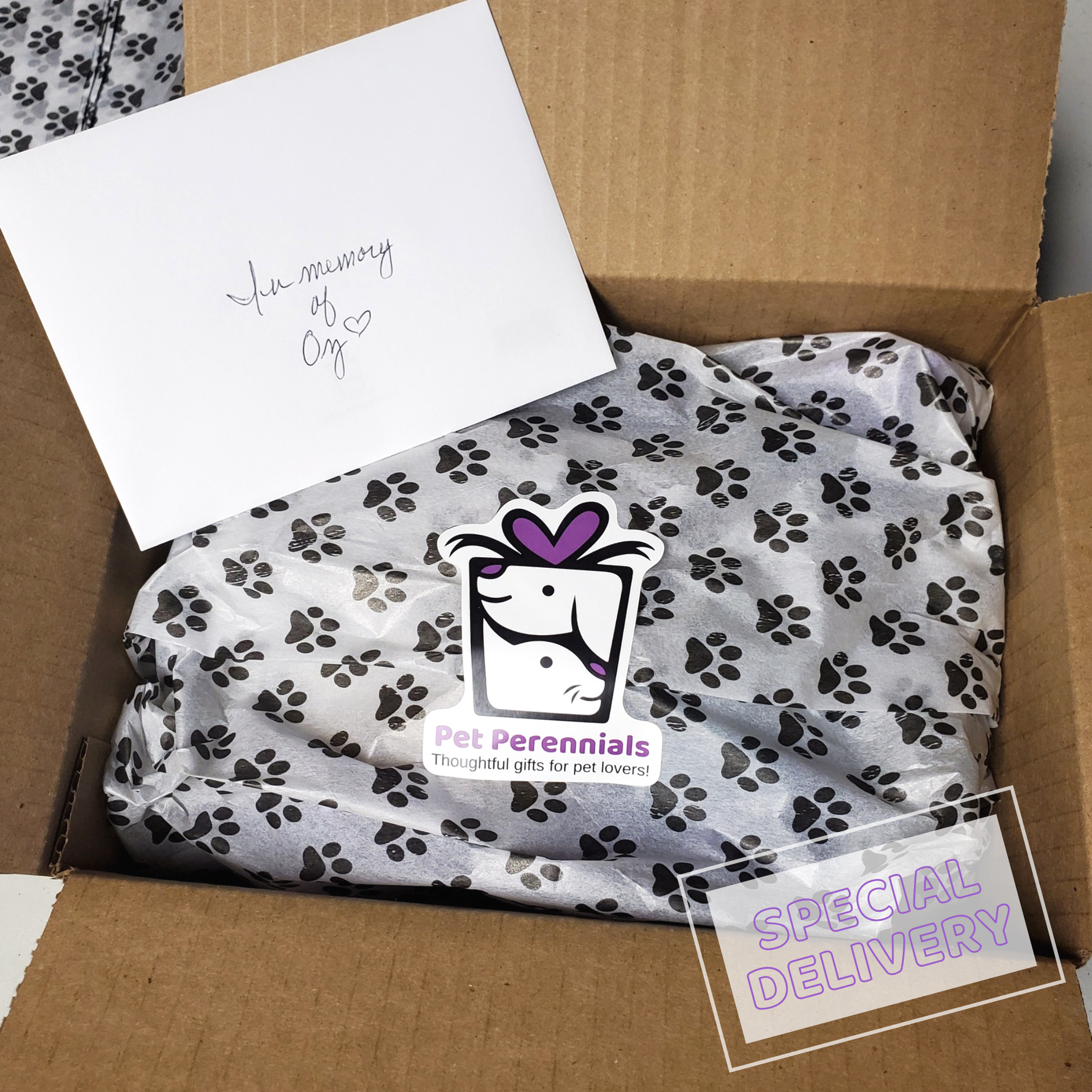 Complete pet sympathy gift package offering comfort and support — ideal for pet sympathy gifts and thoughtful ideas on what to buy someone when their pet passes away.