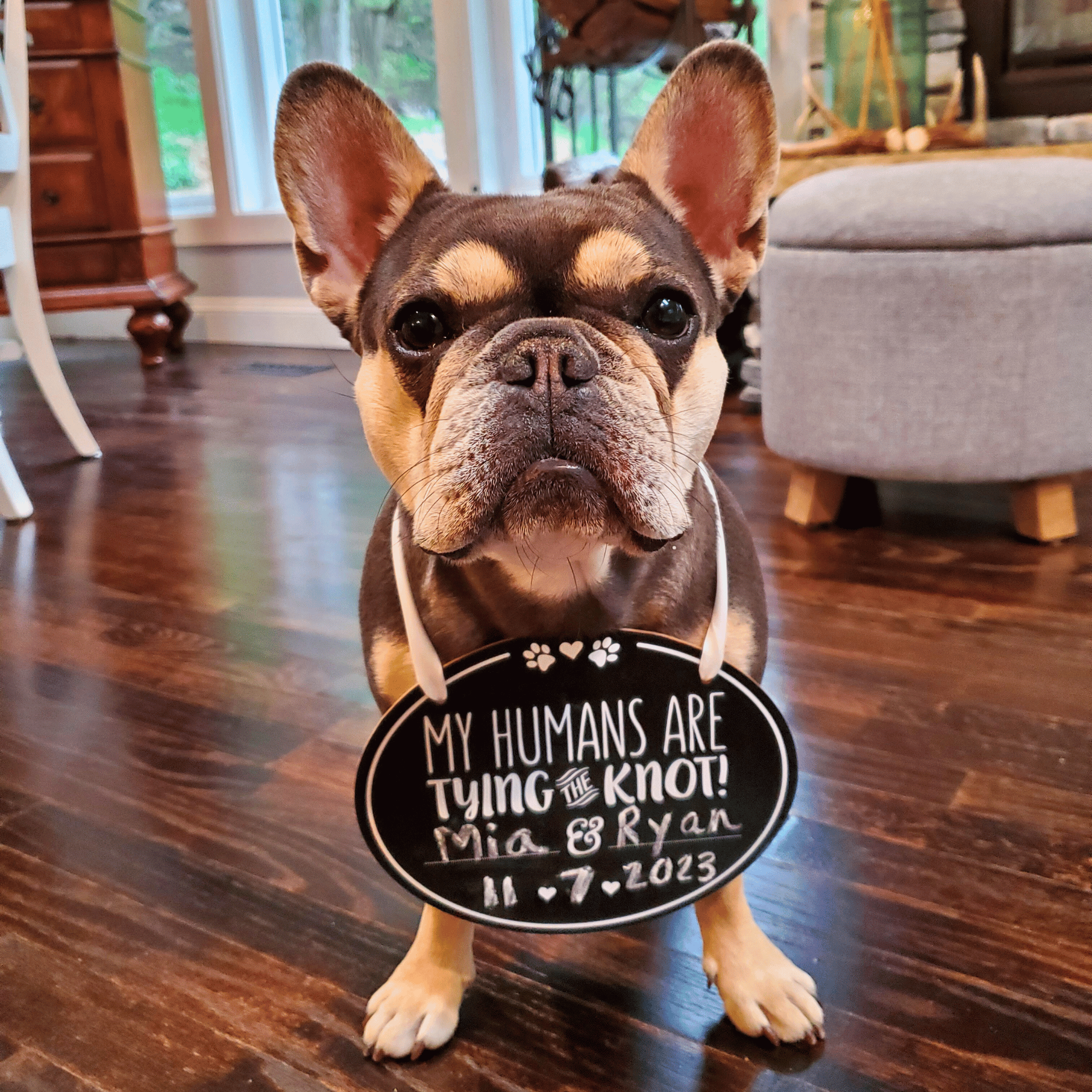 Pet Wedding Announcement Chalkboard Sign - Pet Perennials Dogs in Weddings