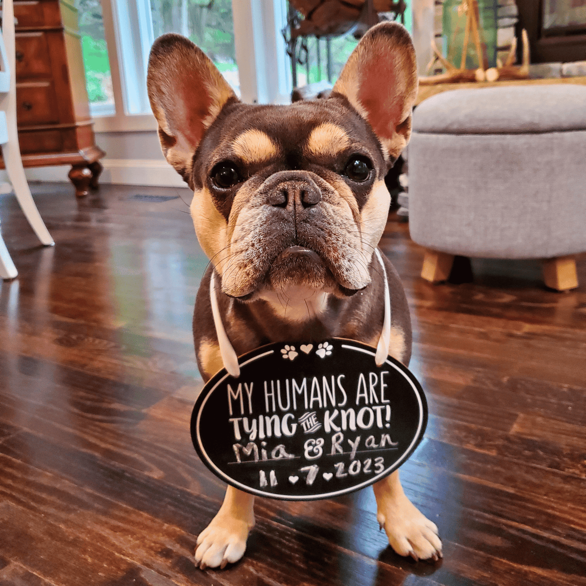 Pet Wedding Announcement Chalkboard Sign - Pet Perennials Dogs in Weddings