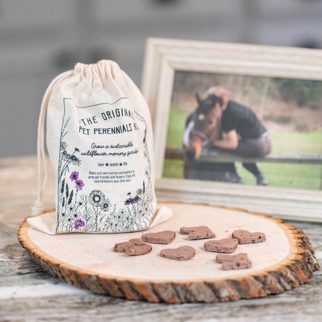Wildflower gardening kit designed to memorialize a beloved horse — thoughtful pet memorial gifts and ideas on how to honor a pet’s memory.