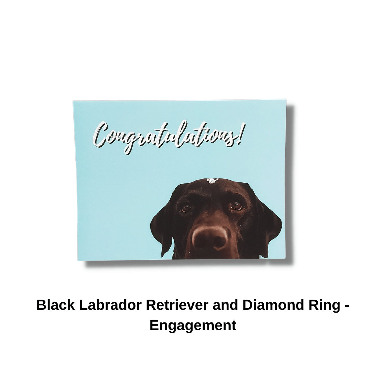 Black Labrador Retriever Engagement Card Pet Greeting Card