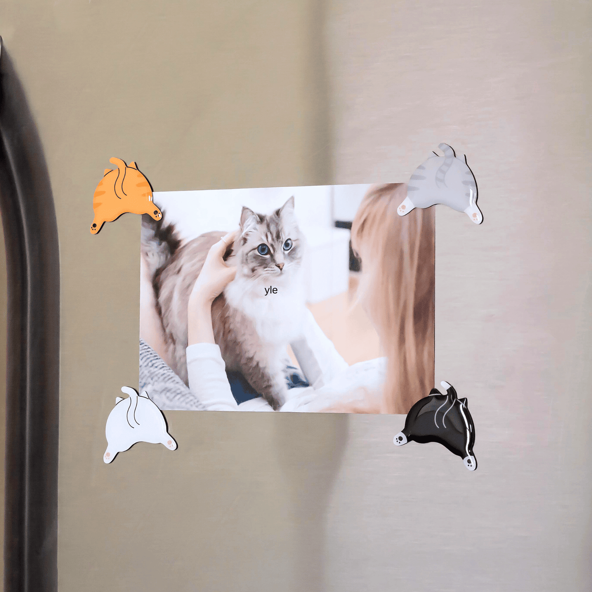 Novelty Cat Butt Magnets for home decor