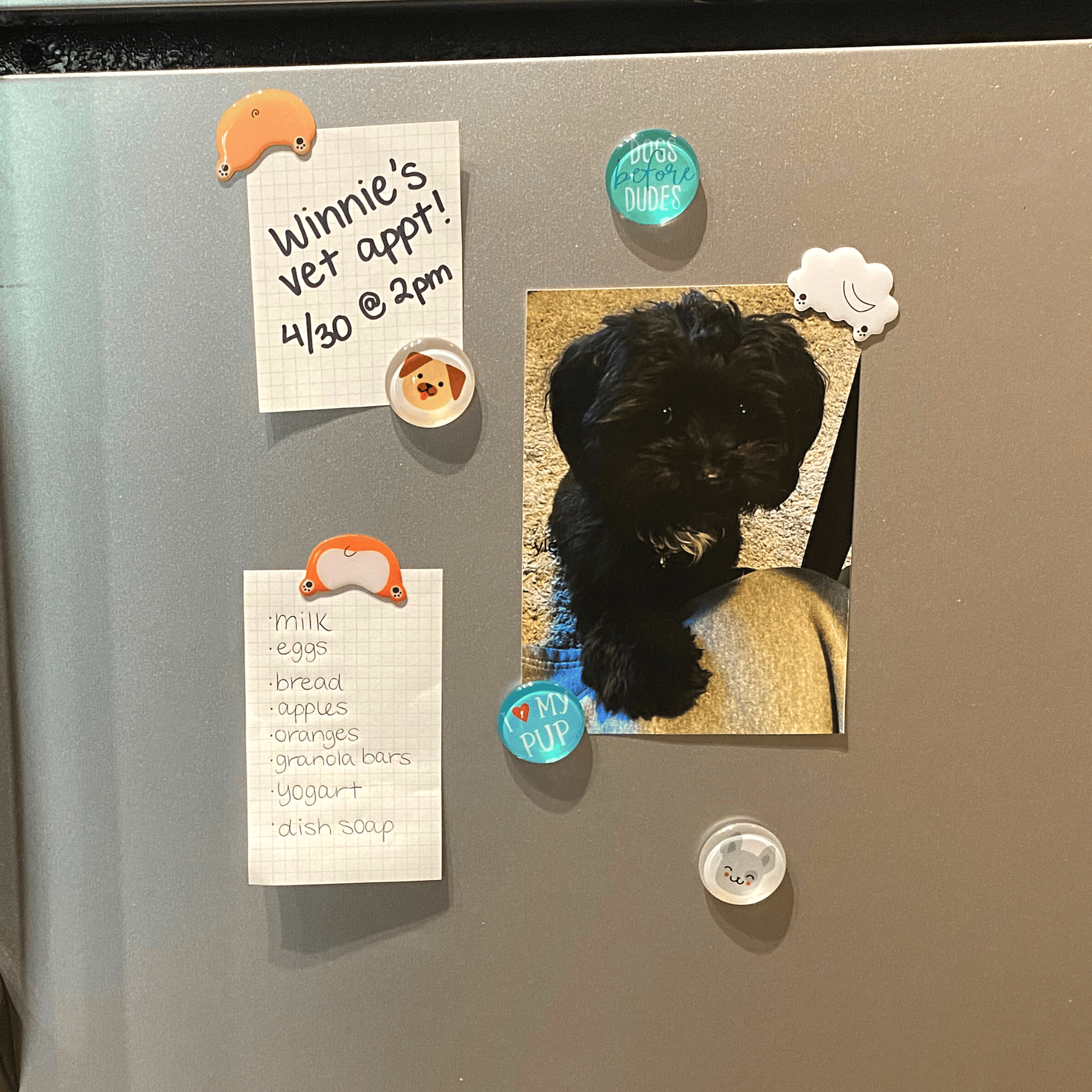 Novelty Dog Butt Magnets
