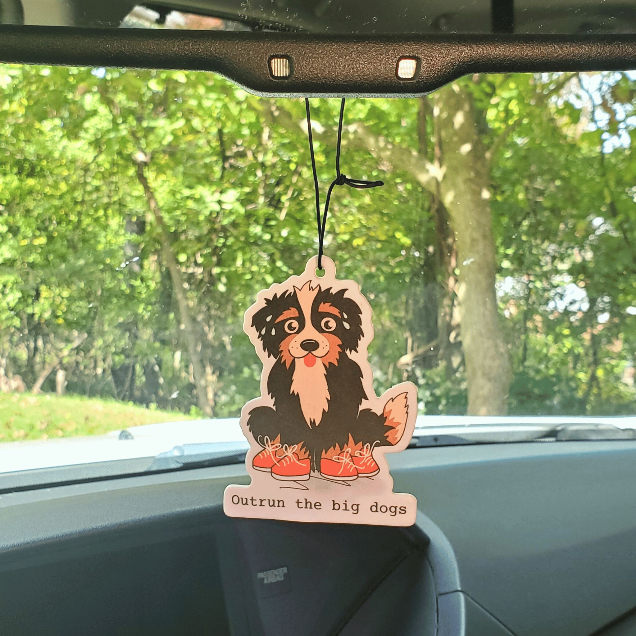 Outrun The Big Dogs Car Air Freshener/Black Freeze Scent