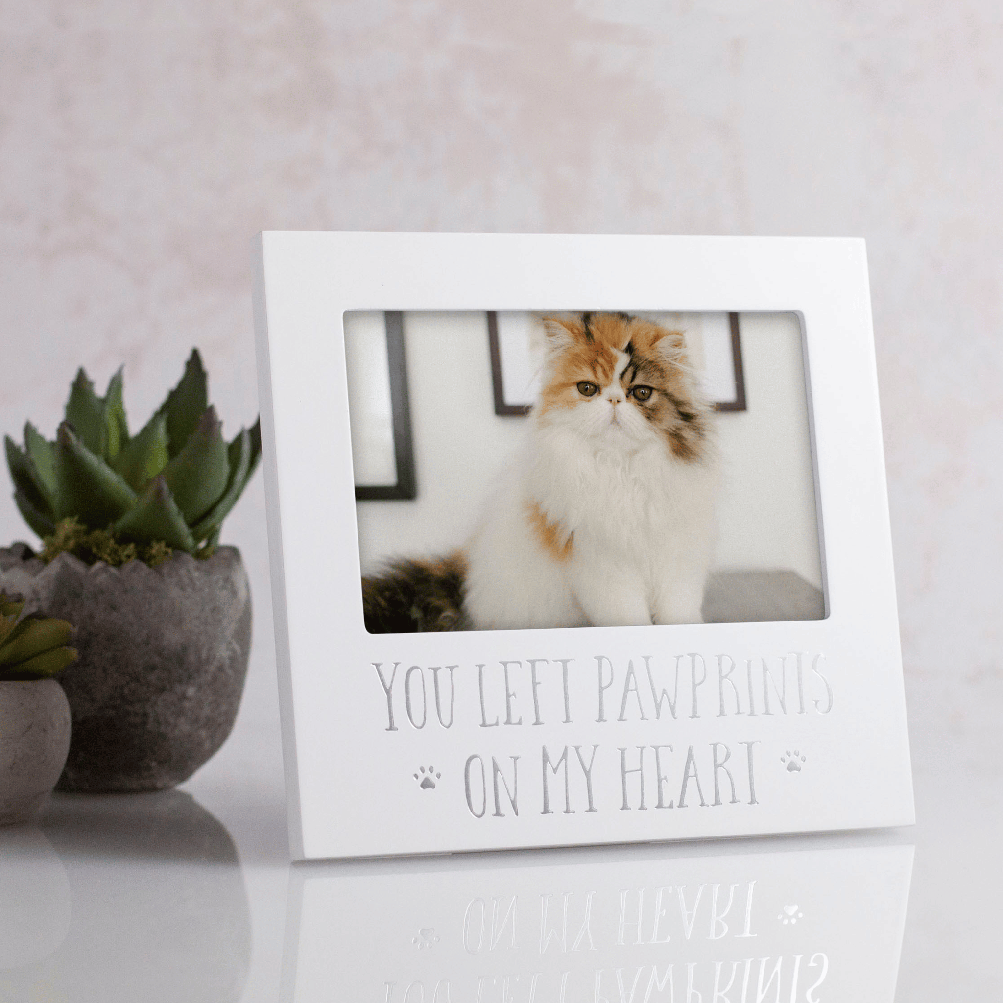 Personalized Pet Loss Sympathy & Memorial Gifts - Pet memorial picture frame