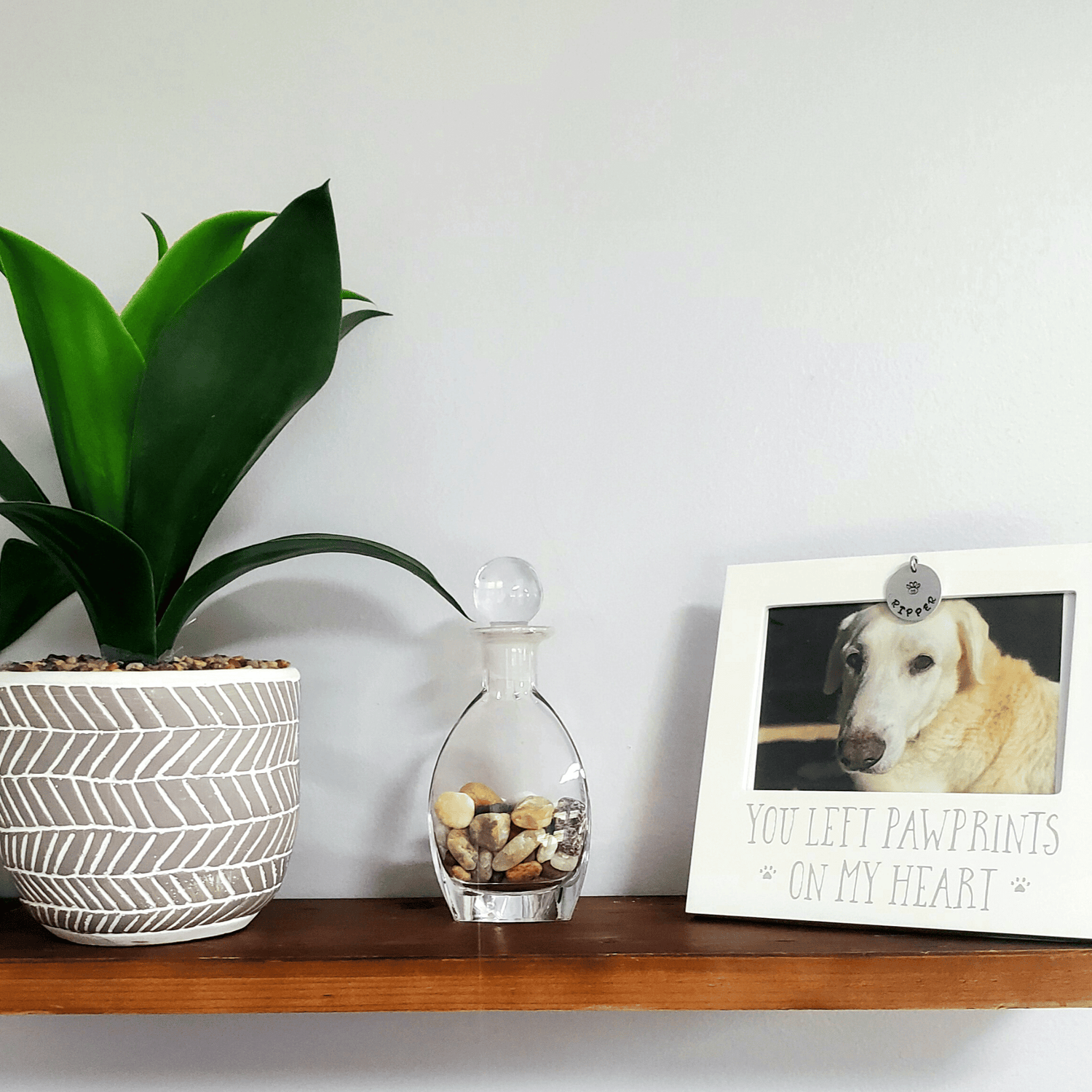 Personalized Pet Loss Sympathy & Memorial Gifts - Pet memorial picture frame personalized