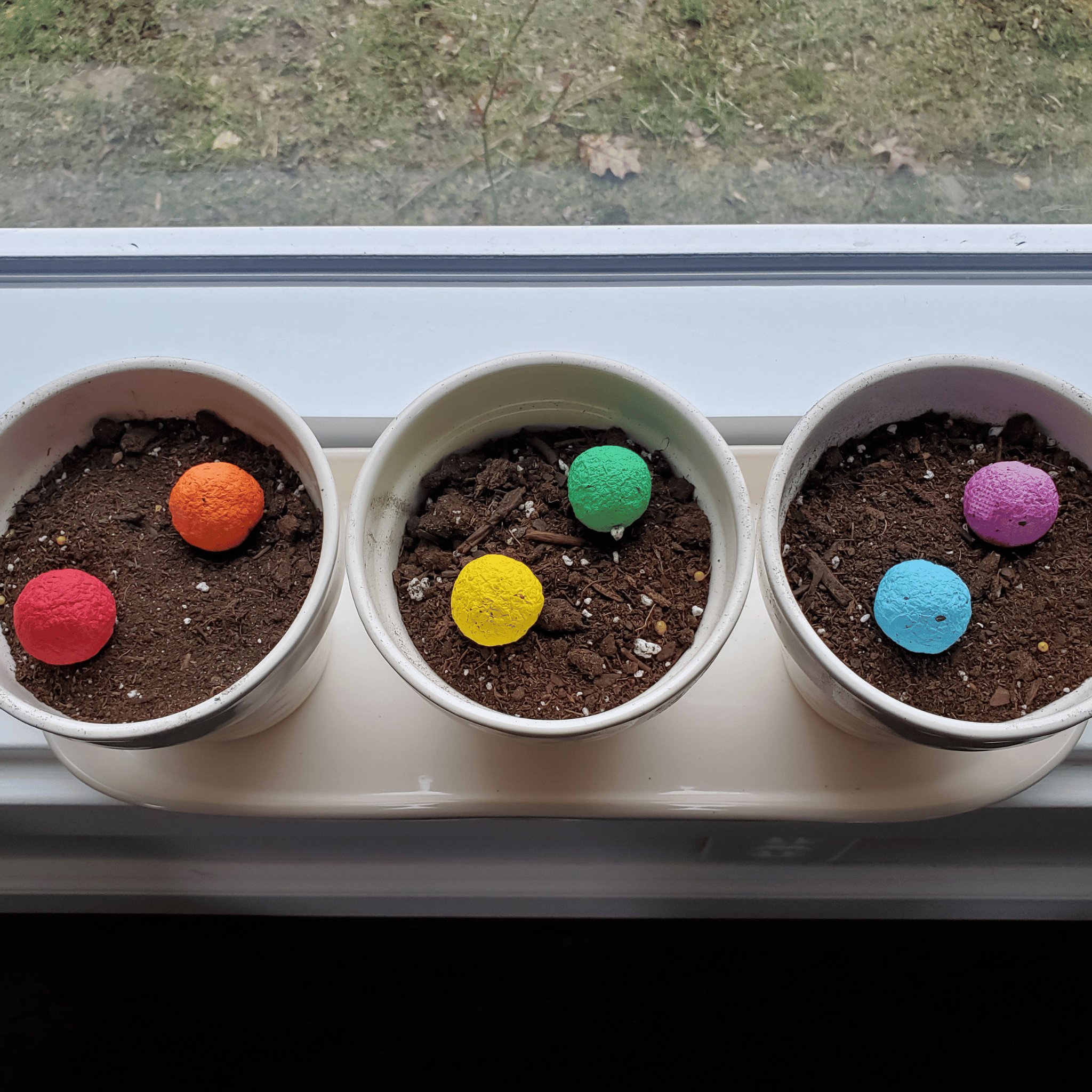 Wildflower Seed Bombs Pet Memorial Gardens - Pet loss flowers