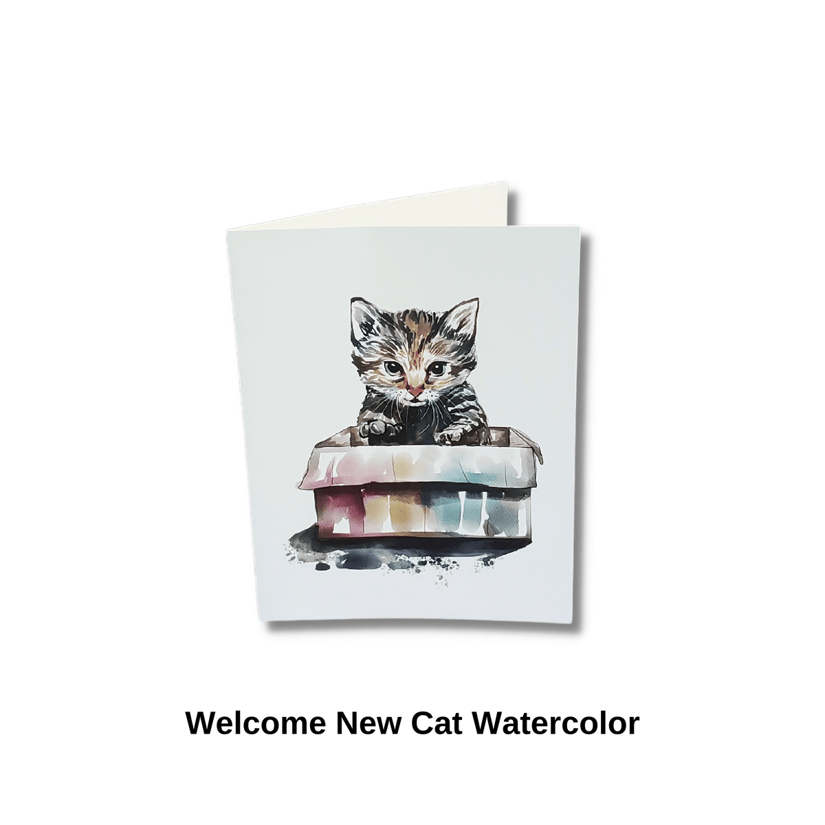 New Cat Welcome Card Pet Greeting Card