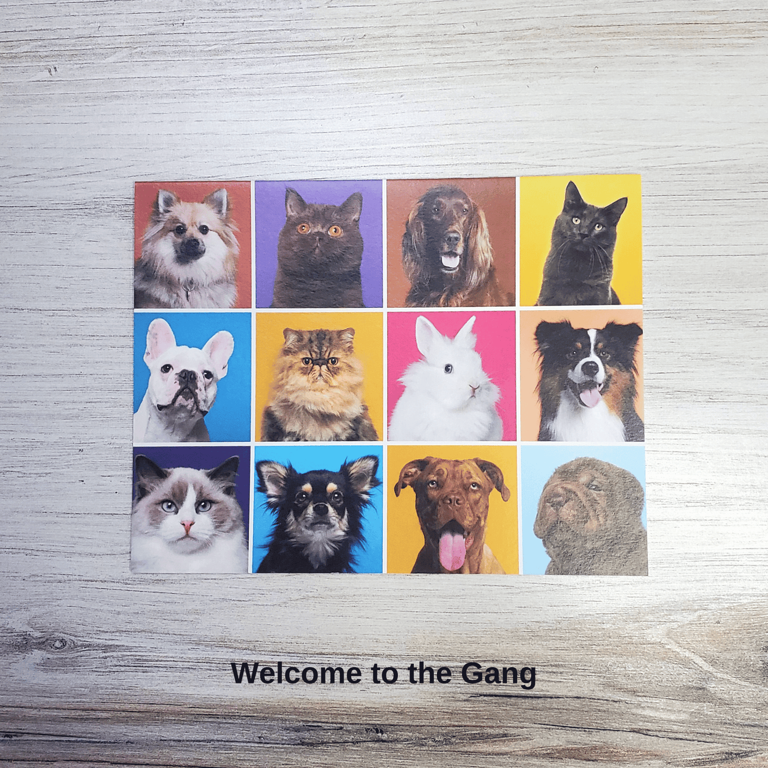 Welcome to the Gang Card