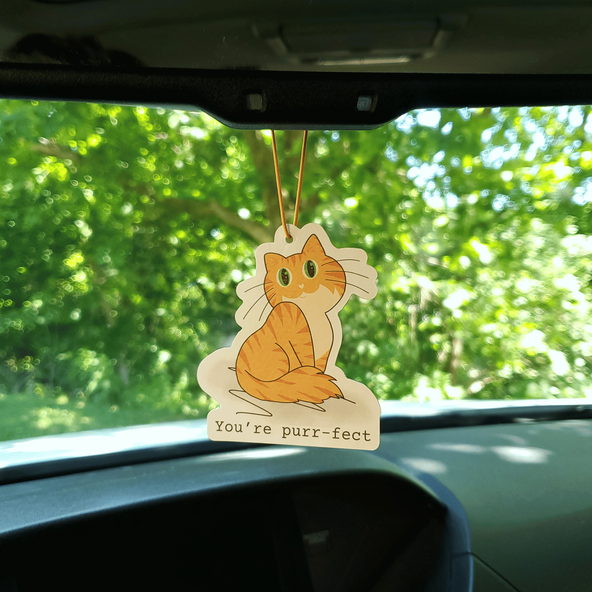 Ripe Mango Scented Car Air Freshener - You&