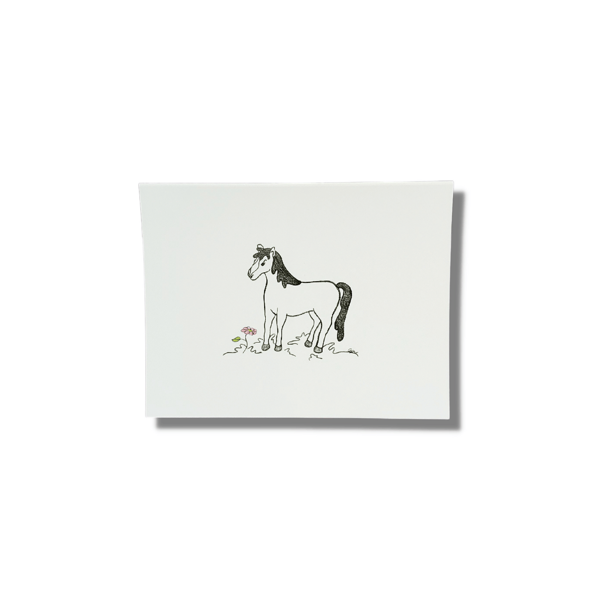 Horse Sympathy Card - Set of 6 - Pet Perennials