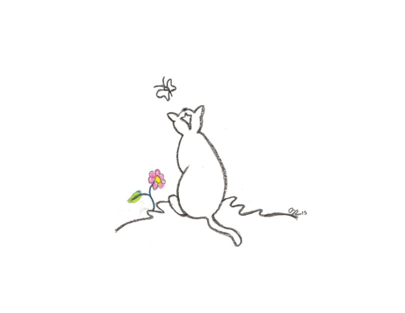 Greeting Card & Gift Wrap Option - Pet Perennials