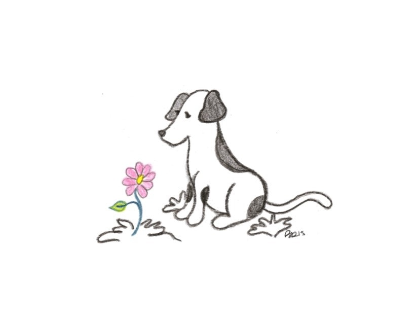 Greeting Card & Gift Wrap Option - Pet Perennials
