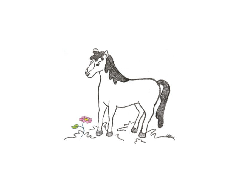 Greeting Card & Gift Wrap Option - Pet Perennials