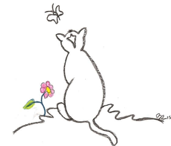Cat Sympathy Card