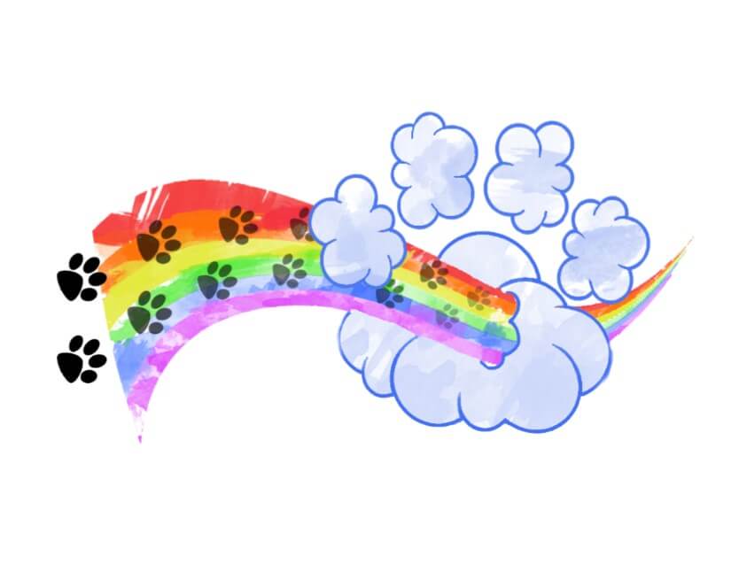 Rainbow Bridge Pet Sympathy Card